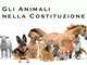 Abbandonare un animale non è solo un gesto crudele: è un costo che ricade su tutta la comunità