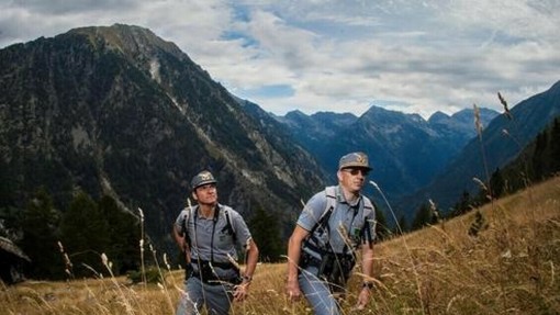 Conclusa la discussione generale sul disegno di legge sul Corpo forestale della Valle d'Aosta Conclusa la discussione generale sul disegno di legge sul Corpo forestale della Valle d'Aosta