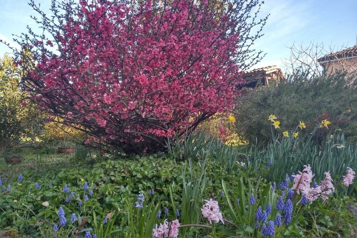 Il gusto della cultura: ad Aosta un viaggio tra cibo, arte e letteratura