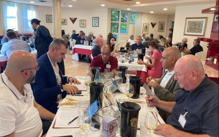 A Châtillon il mondo del vino eroico: la Valle d’Aosta capitale della viticoltura estrema A Châtillon il mondo del vino eroico: la Valle d’Aosta capitale della viticoltura estrema