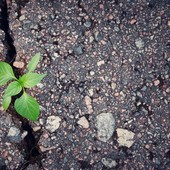 Suolo da salvare, responsabilità da condividere