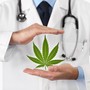 Cannabis in medicina: principi attivi e utilizzi