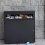 Il cassonetto della vergogna in via Guido Rey