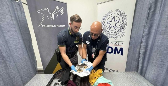 A Caselle sequestrata una testa di coccodrillo: passeggero denunciato A Caselle sequestrata una testa di coccodrillo: passeggero denunciato