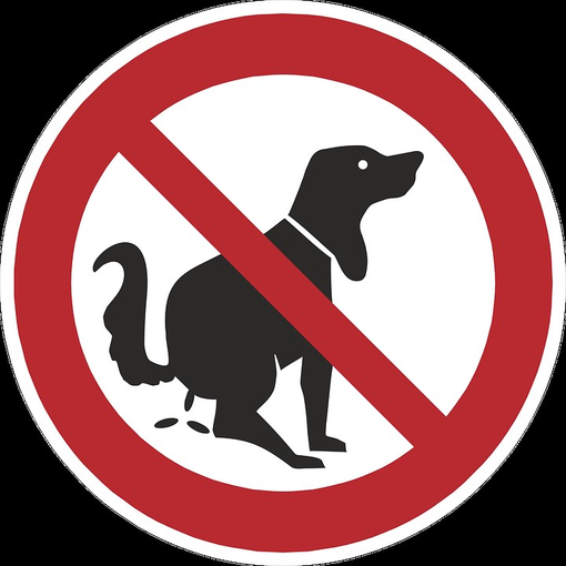 Aosta: Inascoltate le ordinanze contro le cacche dei cani