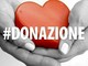 Organi che salvano vite: l’Italia da record e il valore della donazione Organi che salvano vite: l’Italia da record e il valore della donazione