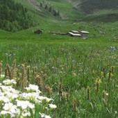 Un investimento per natura e comunità: il contributo al Comune di Rhêmes-Notre-Dame