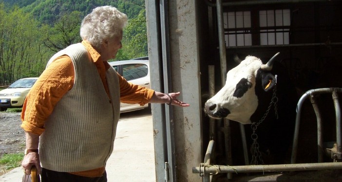 Mamma Ilda e la mucca Mamma Ilda e la mucca