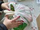 Quotidiamo, cresce la rete contro la povertà alimentare Quotidiamo, cresce la rete contro la povertà alimentare