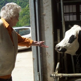 Mamma Ilda e la mucca