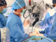 Impiantata la prima protesi vertebrale all'argento in Italia all'Ospedale Parini Impiantata la prima protesi vertebrale all'argento in Italia all'Ospedale Parini