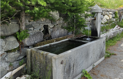 ph tratta da Nouvelles d'Avise