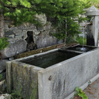 ph tratta da Nouvelles d'Avise