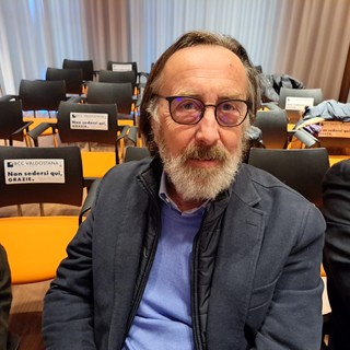 Luigi Fosson, Presidente Adava