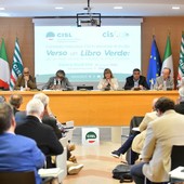 Libro verde per un patto sociale di sviluppo