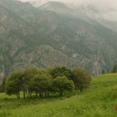 "Ensembio" in anteprima mondiale al Cervino CineMountain