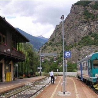 Foto che accompagna la petizione