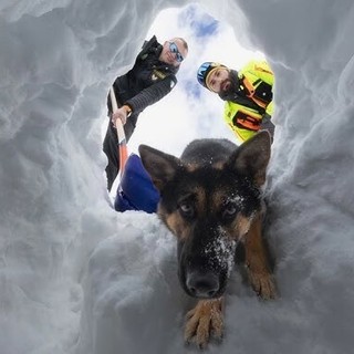 Tre colori, un mondo: il nuovo calendario delle Fiamme Gialle che trasforma il lavoro invisibile in arte