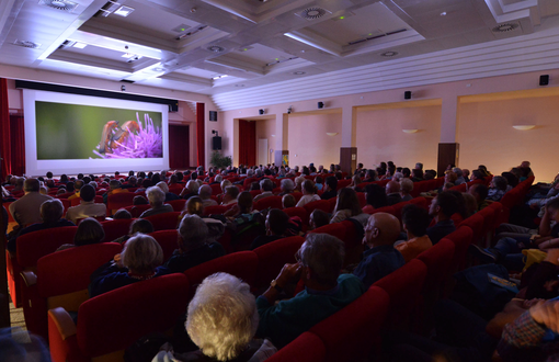 Gran Paradiso Film Festival 2024, la nature rencontre l’intelligence