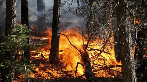 Emergenza incendi, revocato lo stato di grave pericolo sull'intero territorio regionale