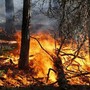 Emergenza incendi, revocato lo stato di grave pericolo sull'intero territorio regionale Emergenza incendi, revocato lo stato di grave pericolo sull'intero territorio regionale