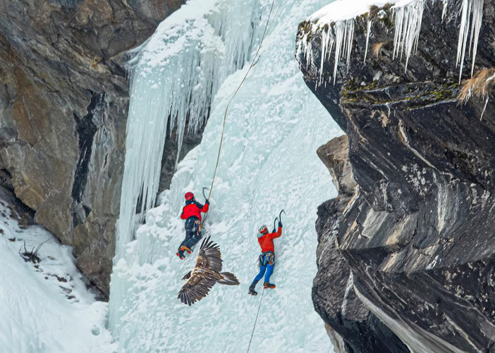 Foto di Roberto Andrighetto - PNGP Foto di Roberto Andrighetto - PNGP