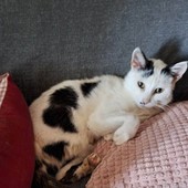 Cercano casa Cercano casa