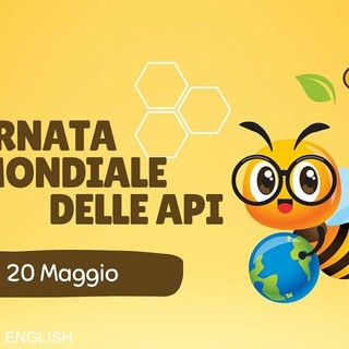 Giornata mondiale delle api: il respiro silenzioso della Valle d’Aosta tra miele, futuro e comunità