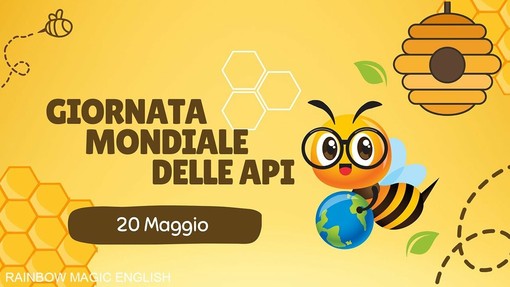 Giornata mondiale delle api: il respiro silenzioso della Valle d’Aosta tra miele, futuro e comunità
