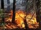 Emergenza incendi, revocato lo stato di grave pericolo sull'intero territorio regionale Emergenza incendi, revocato lo stato di grave pericolo sull'intero territorio regionale