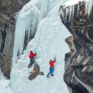 Foto di Roberto Andrighetto - PNGP Foto di Roberto Andrighetto - PNGP