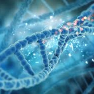 IL C3G PRENDE FORMA: AOSTA NEL CUORE DELLA GENOMICA INTERNAZIONALE