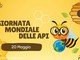 Giornata mondiale delle api: il respiro silenzioso della Valle d’Aosta tra miele, futuro e comunità