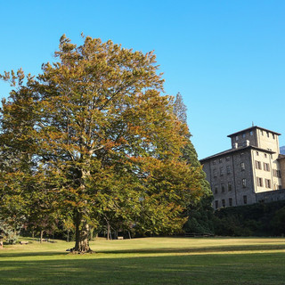 Castello Gamba