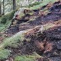 Incendio boschivo tra Challand-Saint-Victor e Challand-Saint-Anselme: spento il rogo, resta alta l'allerta in Valle d'Aosta Incendio boschivo tra Challand-Saint-Victor e Challand-Saint-Anselme: spento il rogo, resta alta l'allerta in Valle d'Aosta