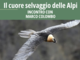 "Il cuore selvaggio delle Alpi", serata di fotografia naturalistica e divulgazione a Bard con Marco Colombo "Il cuore selvaggio delle Alpi", serata di fotografia naturalistica e divulgazione a Bard con Marco Colombo