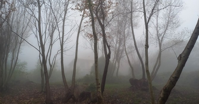 Suggestione (ph. M. Carlesso)