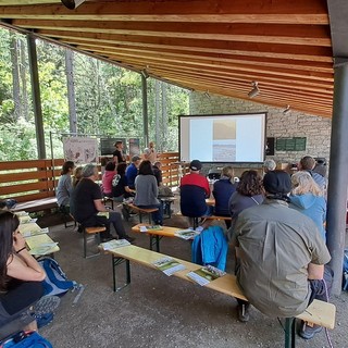 Natura in Evoluzione, appuntamento al Giardino Botanico Paradisia sulla conservazione della flora alpina