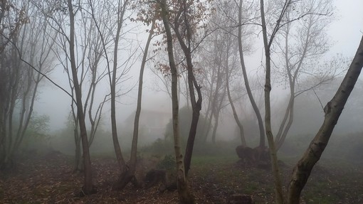 Suggestione (ph. M. Carlesso)