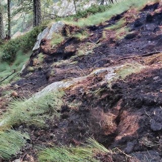 Incendio boschivo tra Challand-Saint-Victor e Challand-Saint-Anselme: spento il rogo, resta alta l'allerta in Valle d'Aosta