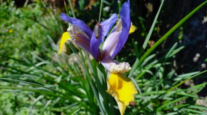 Foto Mauro Carlesso Foto Mauro Carlesso