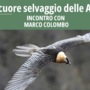 "Il cuore selvaggio delle Alpi", serata di fotografia naturalistica e divulgazione a Bard con Marco Colombo "Il cuore selvaggio delle Alpi", serata di fotografia naturalistica e divulgazione a Bard con Marco Colombo