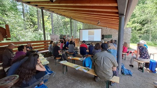 Natura in Evoluzione, appuntamento al Giardino Botanico Paradisia sulla conservazione della flora alpina Natura in Evoluzione, appuntamento al Giardino Botanico Paradisia sulla conservazione della flora alpina