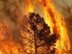 Decretato lo stato di grave pericolosità di incendio boschivo
