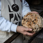 Dalla programmazione regionale ai piccoli negozi: le decisioni della Giunta per montagna, giovani e territorio Dalla programmazione regionale ai piccoli negozi: le decisioni della Giunta per montagna, giovani e territorio