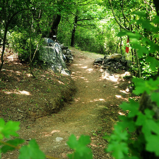 Bosco delle meraviglie a Sant’Ambrogio di Torino: fiabe, natura e un messaggio d’amore