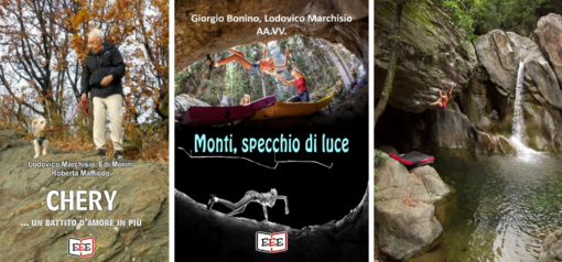 Un battito d’amore che salva: quando un cane ti rimette in piedi Un battito d’amore che salva: quando un cane ti rimette in piedi