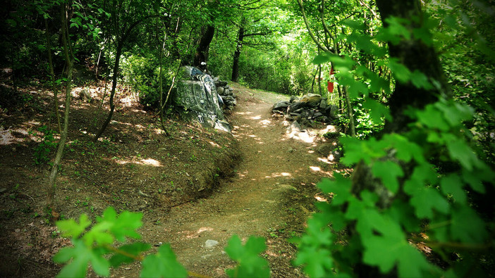 Bosco delle meraviglie a Sant’Ambrogio di Torino: fiabe, natura e un messaggio d’amore Bosco delle meraviglie a Sant’Ambrogio di Torino: fiabe, natura e un messaggio d’amore