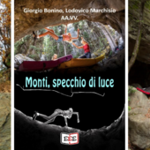 Un battito d’amore che salva: quando un cane ti rimette in piedi Un battito d’amore che salva: quando un cane ti rimette in piedi