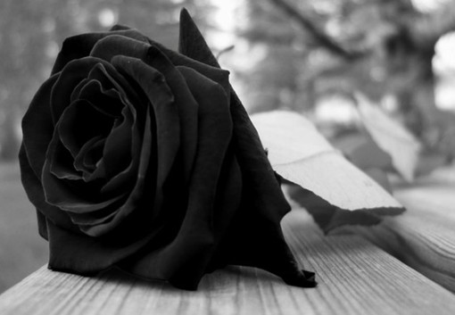 Domani ad Aosta l’ultimo saluto a Domenico Parisi Domani ad Aosta l’ultimo saluto a Domenico Parisi